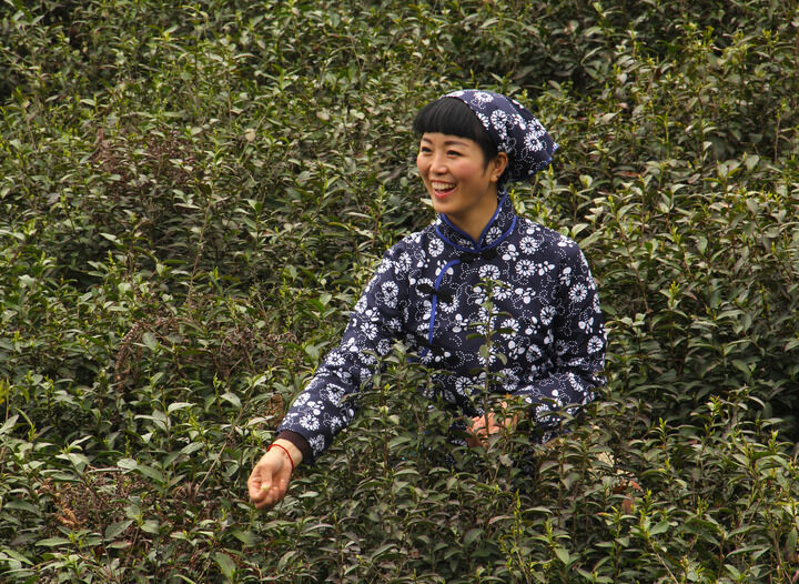 热门动漫9